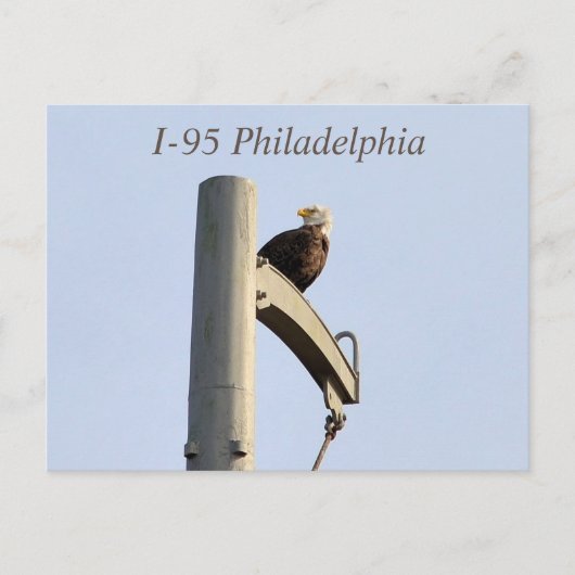 Postkarte I-95 Philadelphia Bald Eagle (Vorderseite)