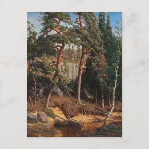 Postkarte "Im Wald"