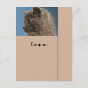 Postkarte in Touch mit Zazzle-Postkarte Behalten