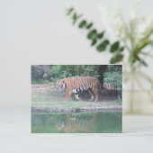 Postkarte "Indochinese Tiger" (Stehend Vorderseite)