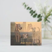 Postkarte "Irish Terrier" (Stehend Vorderseite)