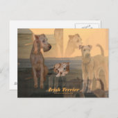Postkarte "Irish Terrier" (Vorne/Hinten)