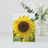 Postkarte - Isolierte Sonnenblume (Stehend Vorderseite)