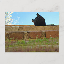 Postkarte "Jasper's Lookout"