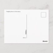 Postkarte - Jungtaube (Rückseite)