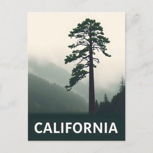 Postkarte Kalifornien (Vorderseite)