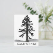 Postkarte Kalifornien (Stehend Vorderseite)