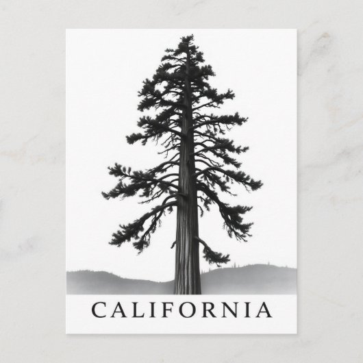 Postkarte Kalifornien (Vorderseite)