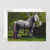 Postkarte "Kaspisch und seine Katzen" (Vorne/Hinten)