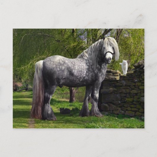 Postkarte "Kaspisch und seine Katzen" (Vorderseite)