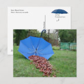 Postkarte - Kastanien (Vorne/Hinten)