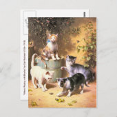 Postkarte: "Kätzchen spielen mit Käfern" Postkarte (Vorne/Hinten)