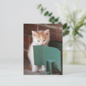 Postkarte "Katze" (Stehend Vorderseite)