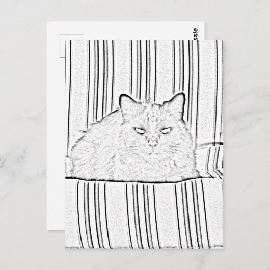 Postkarte - Katze auf gestreiftem Stuhl zur Farbe (Vorne/Hinten)