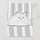 Postkarte - Katze auf gestreiftem Stuhl zur Farbe (Vorderseite)
