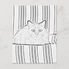 Postkarte - Katze auf gestreiftem Stuhl zur Farbe
