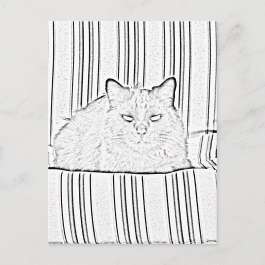 Postkarte - Katze auf gestreiftem Stuhl zur Farbe (Vorderseite)