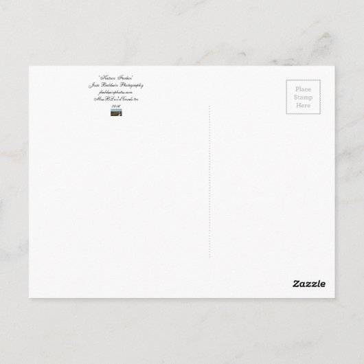 Postkarte "Katzen Farben" (Rückseite)