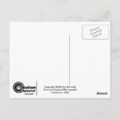 Postkarte "Kein Bull" (Rückseite)