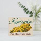 Postkarte - KENTUCKY (Stehend Vorderseite)