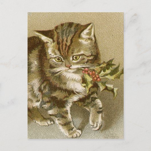 Postkarte: Kitty mit Holly Sprig Postkarte (Vorderseite)