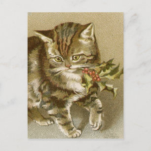 Postkarte: Kitty mit Stechpalmenzweig Postkarte