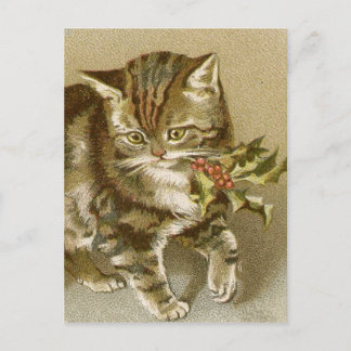 Postkarte: Kitty mit Stechpalmenzweig Postkarte
