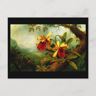 Postkarte-Klassiker/Vintage-Martin Johnson Heade 1 Postkarte