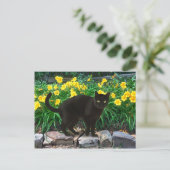 Postkarte "Kleiner Bär" (Stehend Vorderseite)