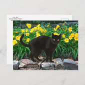 Postkarte "Kleiner Bär" (Vorne/Hinten)