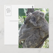 Postkarte Koalas QLD Australien (Vorne/Hinten)