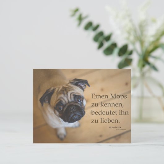 Postkarte "La Mops zu kennen .... (Stehend Vorderseite)