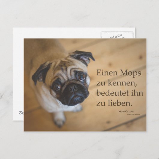 Postkarte "La Mops zu kennen .... (Vorne/Hinten)