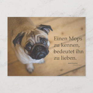 Postkarte "La Mops zu kennen ....