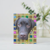 Postkarte Labrador Jimmy (Stehend Vorderseite)