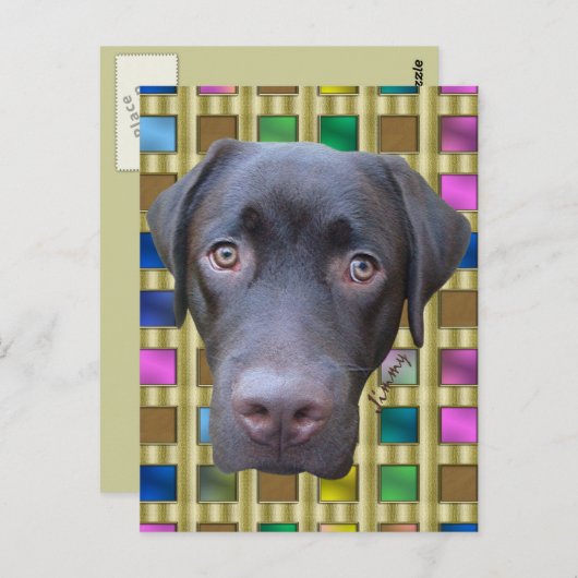 Postkarte Labrador Jimmy (Vorne/Hinten)