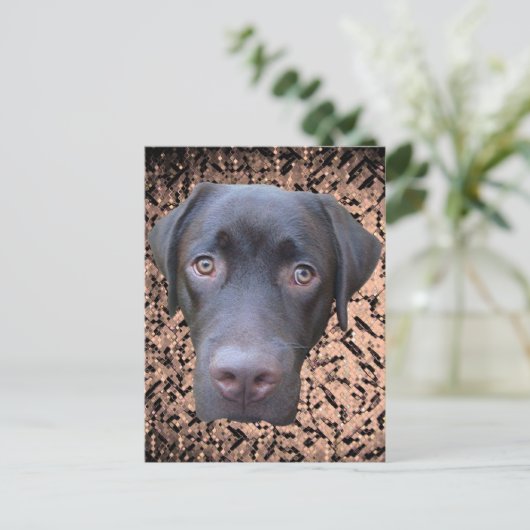 Postkarte Labrador Jimmy (Stehend Vorderseite)