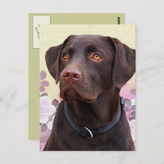 Postkarte Labrador Lorenzo (Vorne/Hinten)