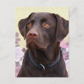 Postkarte Labrador Lorenzo (Vorderseite)