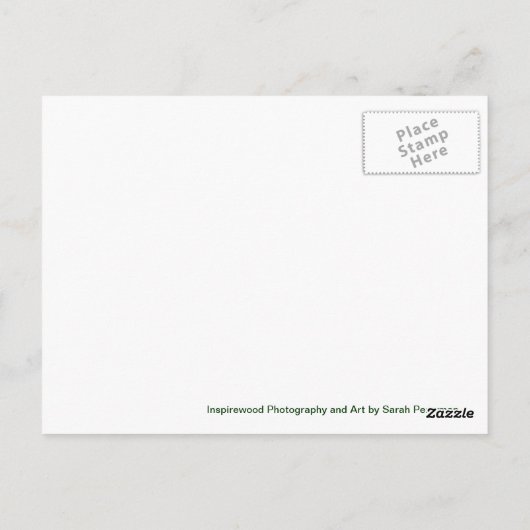 Postkarte Lake Owyhee (Rückseite)