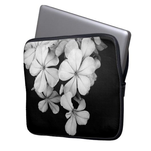 Postkarte Laptopschutzhülle (Vorderseite Links)