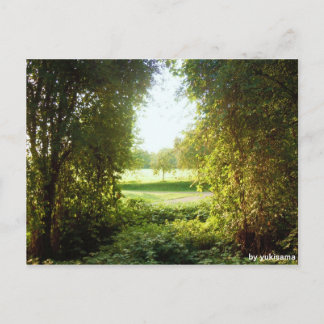 Postkarte - Laubfenster