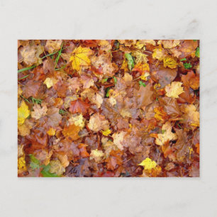 Postkarte "Leaf Pile"-Foto