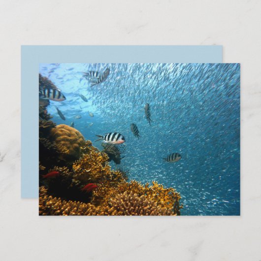 Postkarte Lebensversicherung (Vorne/Hinten)