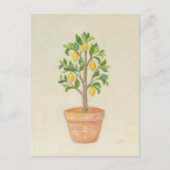 Postkarte Lemon Tree (Vorderseite)