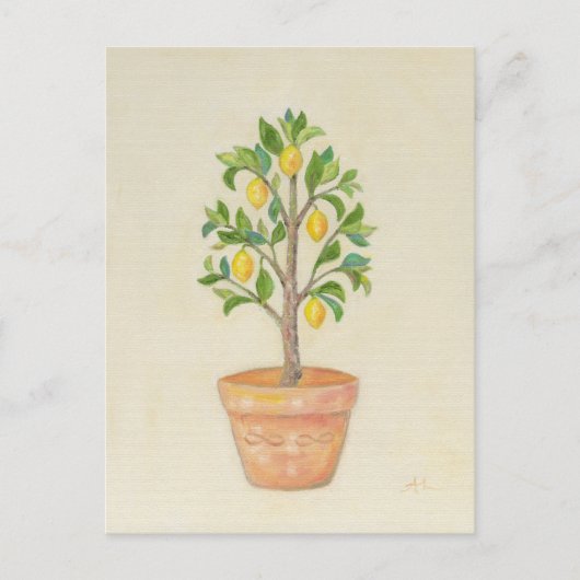 Postkarte Lemon Tree (Vorderseite)
