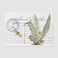 Postkarte Libelle Farn Französisch Skript Vintage