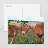 Postkarte "Liebe auf der Wiese" (Vorne/Hinten)