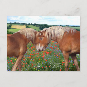 Postkarte "Liebe auf der Wiese"