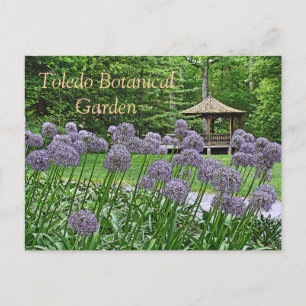 POSTKARTE, "LILA ALLIUM & GAZEBO" TOLEDO BOTANISCH POSTKARTE